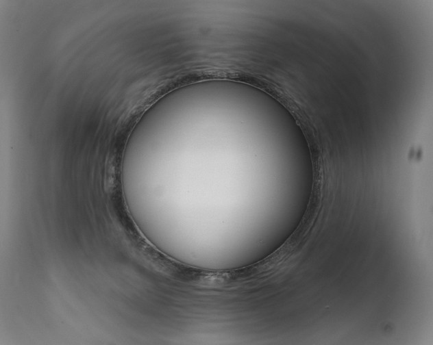 X0000112100080200908041123