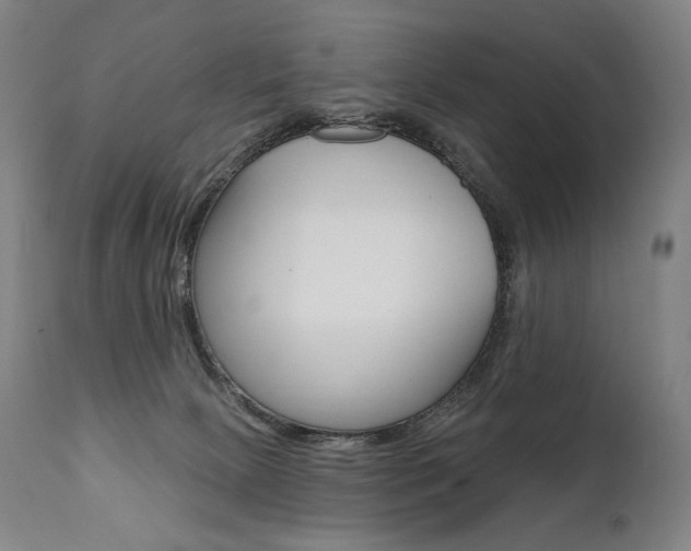 X0000112100081200908041123