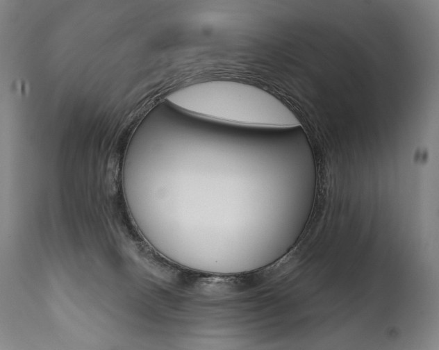 X0000112100082200908041123