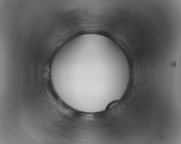 X0000112100083200908041123