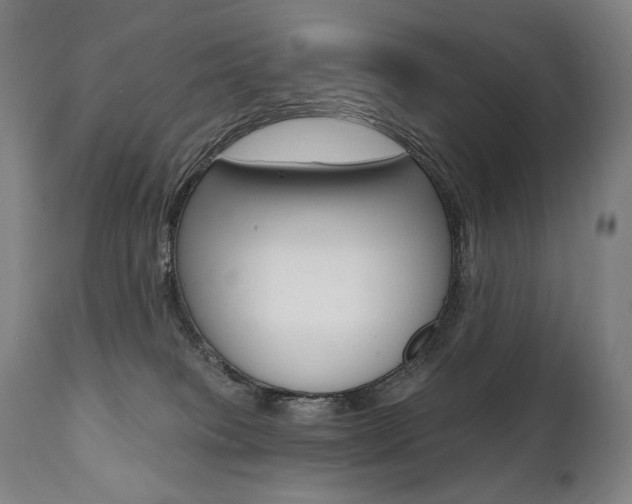 X0000112100085200908041123