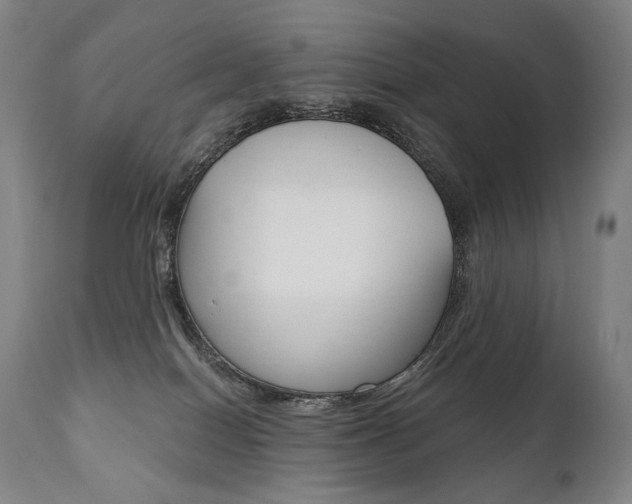 X0000112100086200908041123