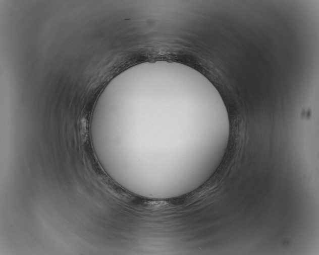 X0000112100087200908041123