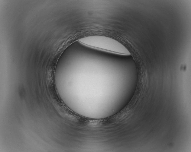 X0000112100088200908041123