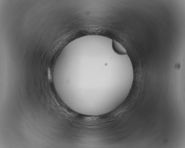 X0000112100089200908041123