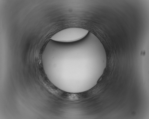 X0000112100091200908041123