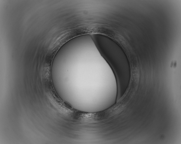 X0000112100092200908041123