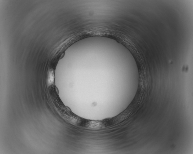 X0000112100095200908041123
