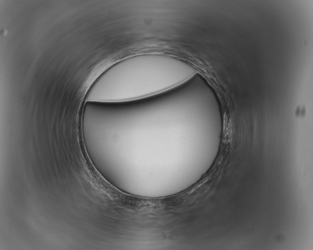 X0000112100099200908041122