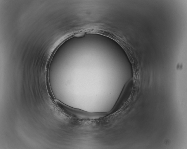 X0000112100100200908041122