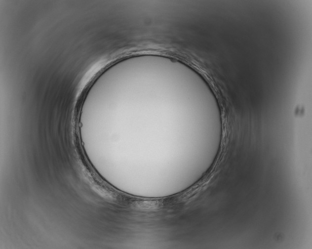 X0000112100102200908041122