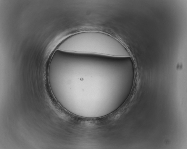 X0000112100103200908041122