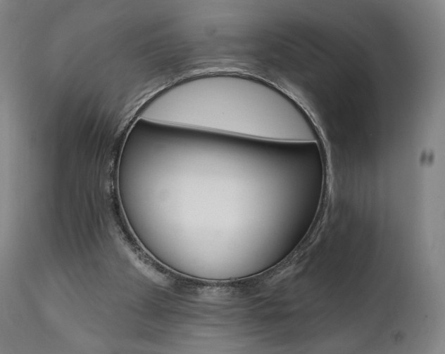 X0000112100105200908041122