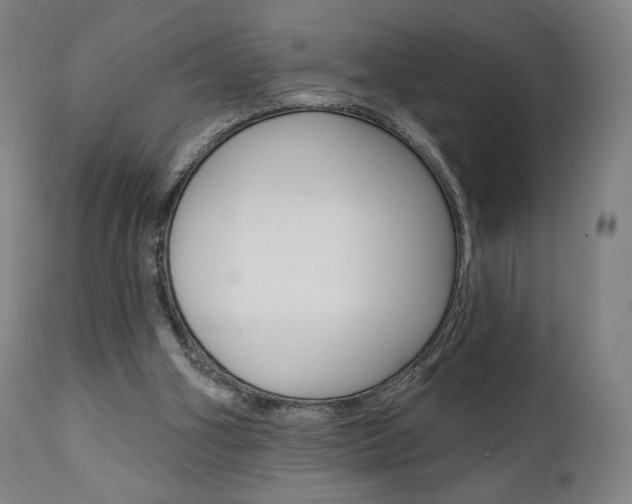 X0000112100106200908041122