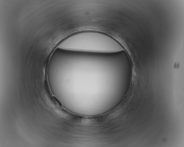 X0000112100109200908041122