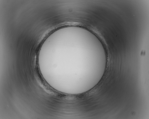 X0000112100110200908041122