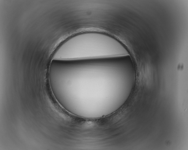 X0000112100111200908041122