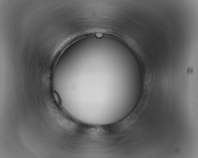 X0000112100112200908041122