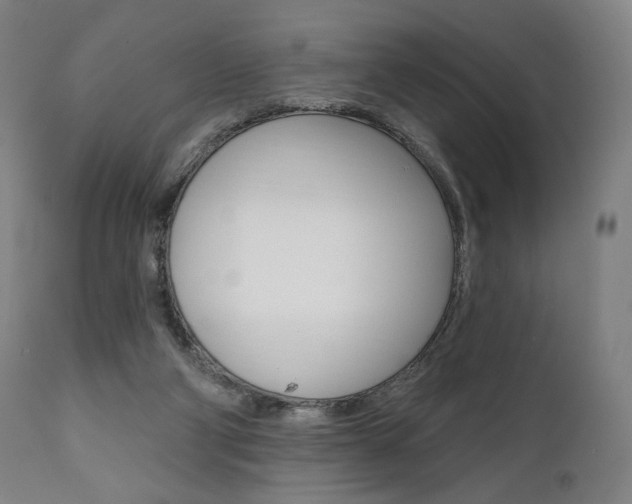 X0000112100114200908041122