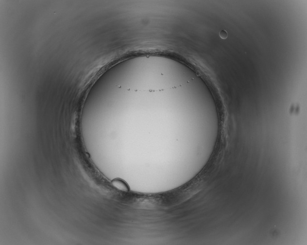 X0000112100115200908041122