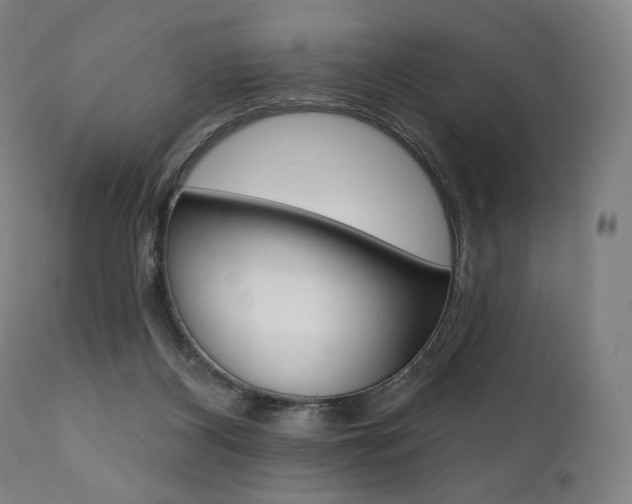X0000112100116200908041122