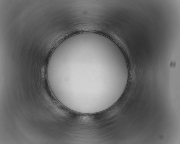 X0000112100117200908041122