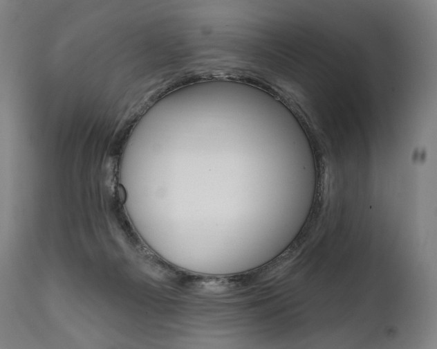 X0000112100121200908041122
