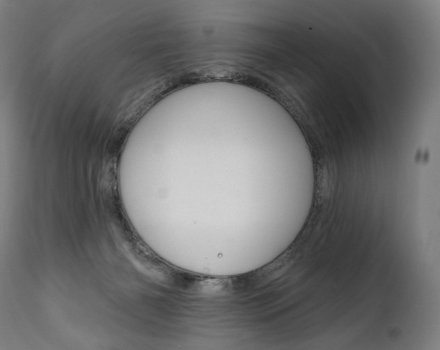 X0000112100126200908041122