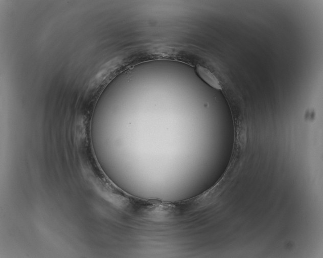 X0000112100128200908041122