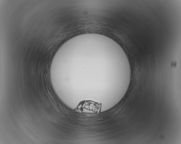 X0000112100129200908041122