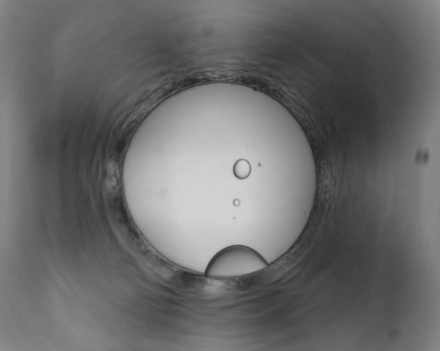 X0000112100130200908041122