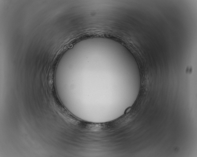 X0000112100131200908041122