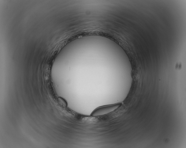 X0000112100133200908041122