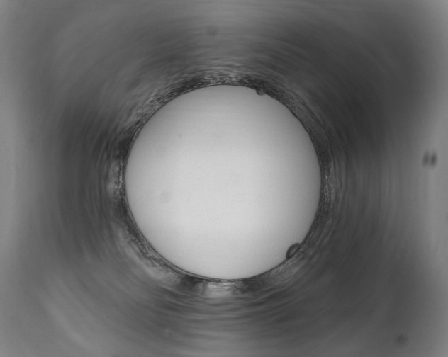 X0000112100134200908041122
