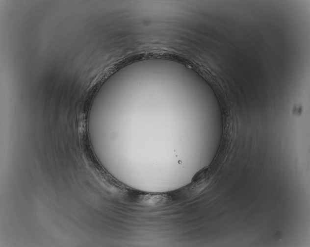 X0000112100135200908041122