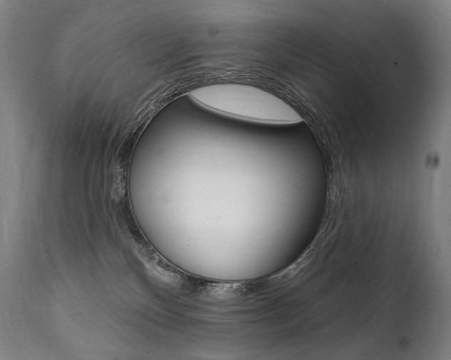 X0000112100136200908041122