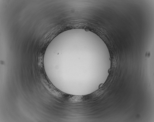 X0000112100138200908041122