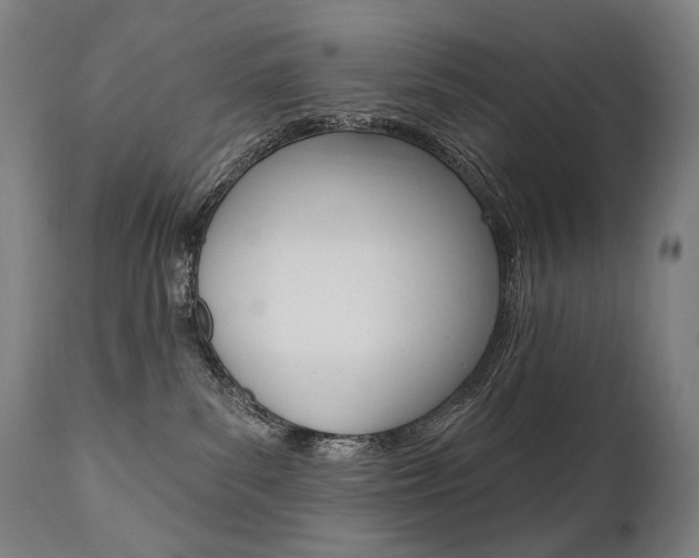 X0000112100139200908041122