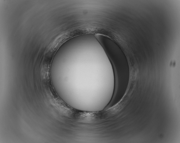 X0000112100140200908041122
