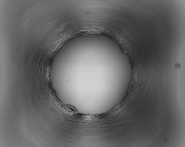 X0000112100141200908041122