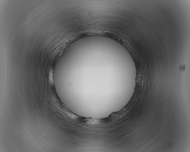 X0000112100143200908041122