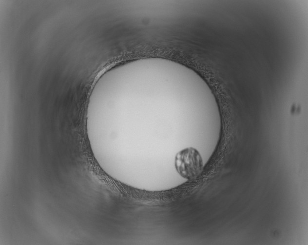 X0000112100144200908041121