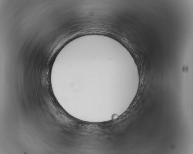 X0000112100146200908041121