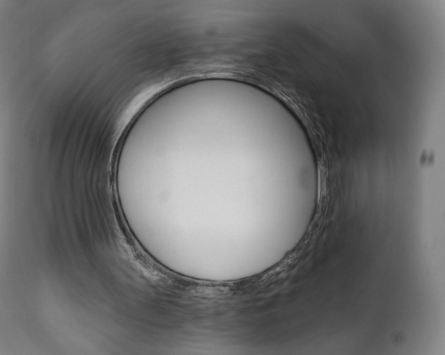 X0000112100147200908041121