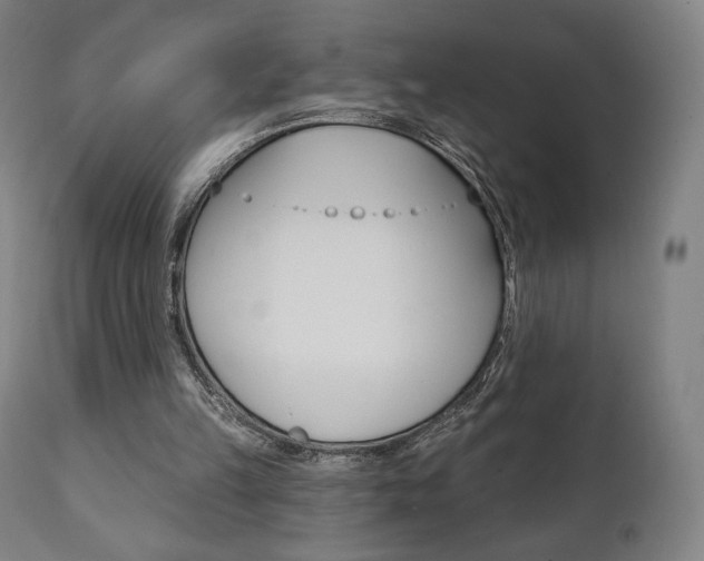 X0000112100149200908041121