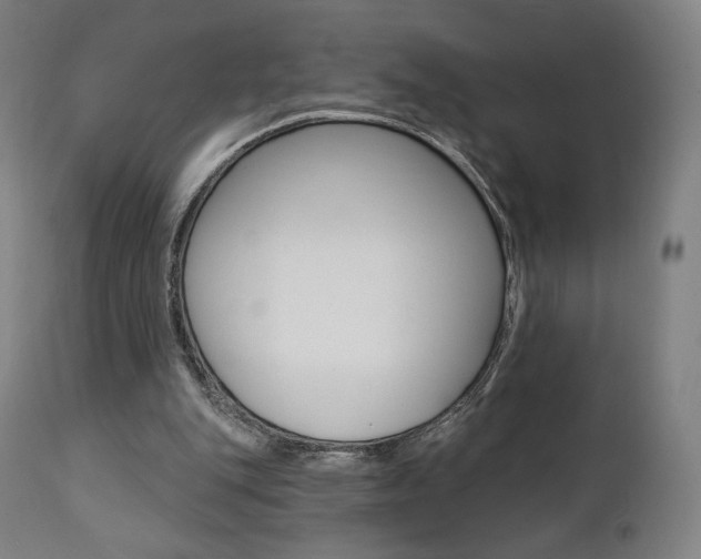 X0000112100151200908041121
