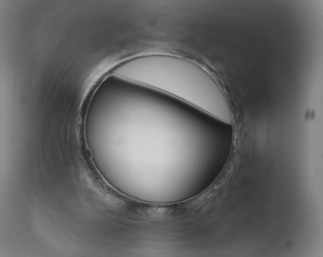 X0000112100152200908041121