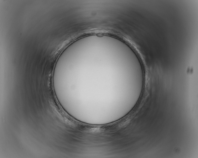 X0000112100153200908041121