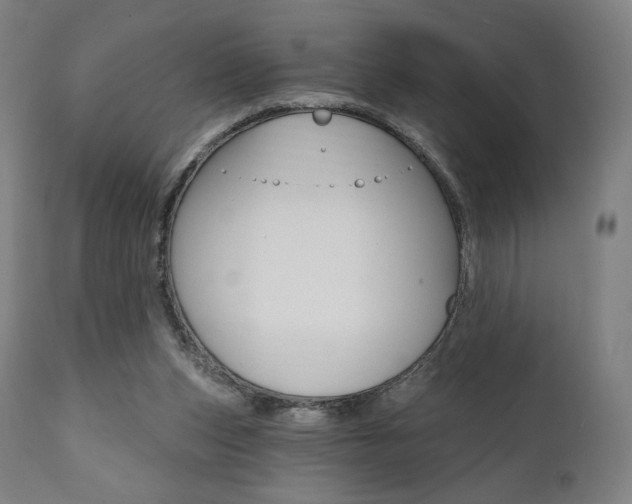 X0000112100159200908041121