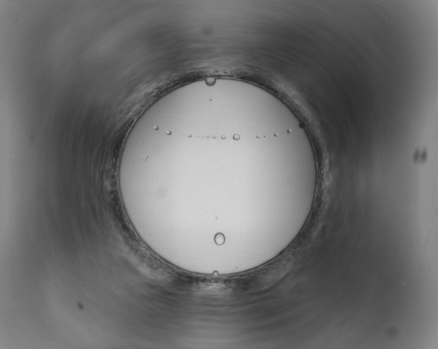 X0000112100161200908041121